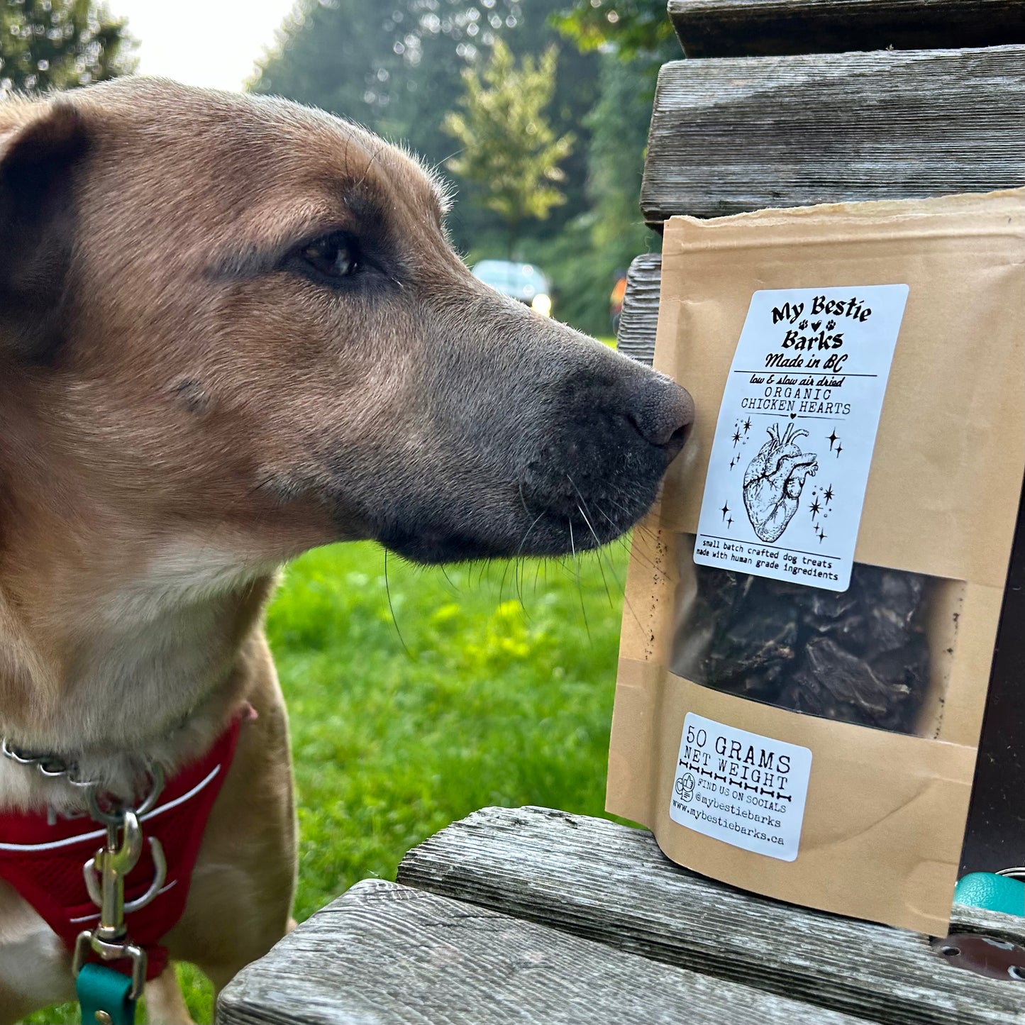 Air Dried Organic Chicken Hearts