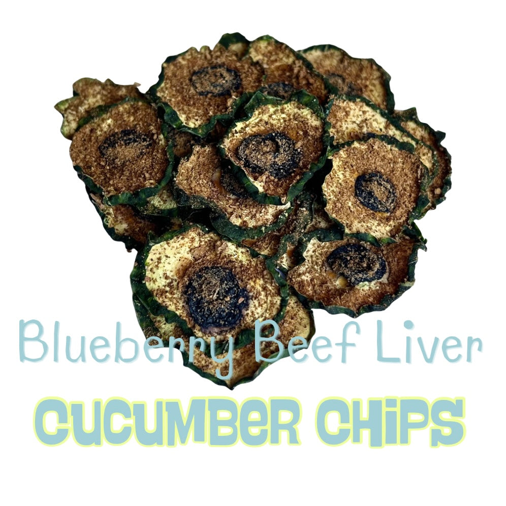Air Dried Blueberry Beef Liver Cucumber Chips