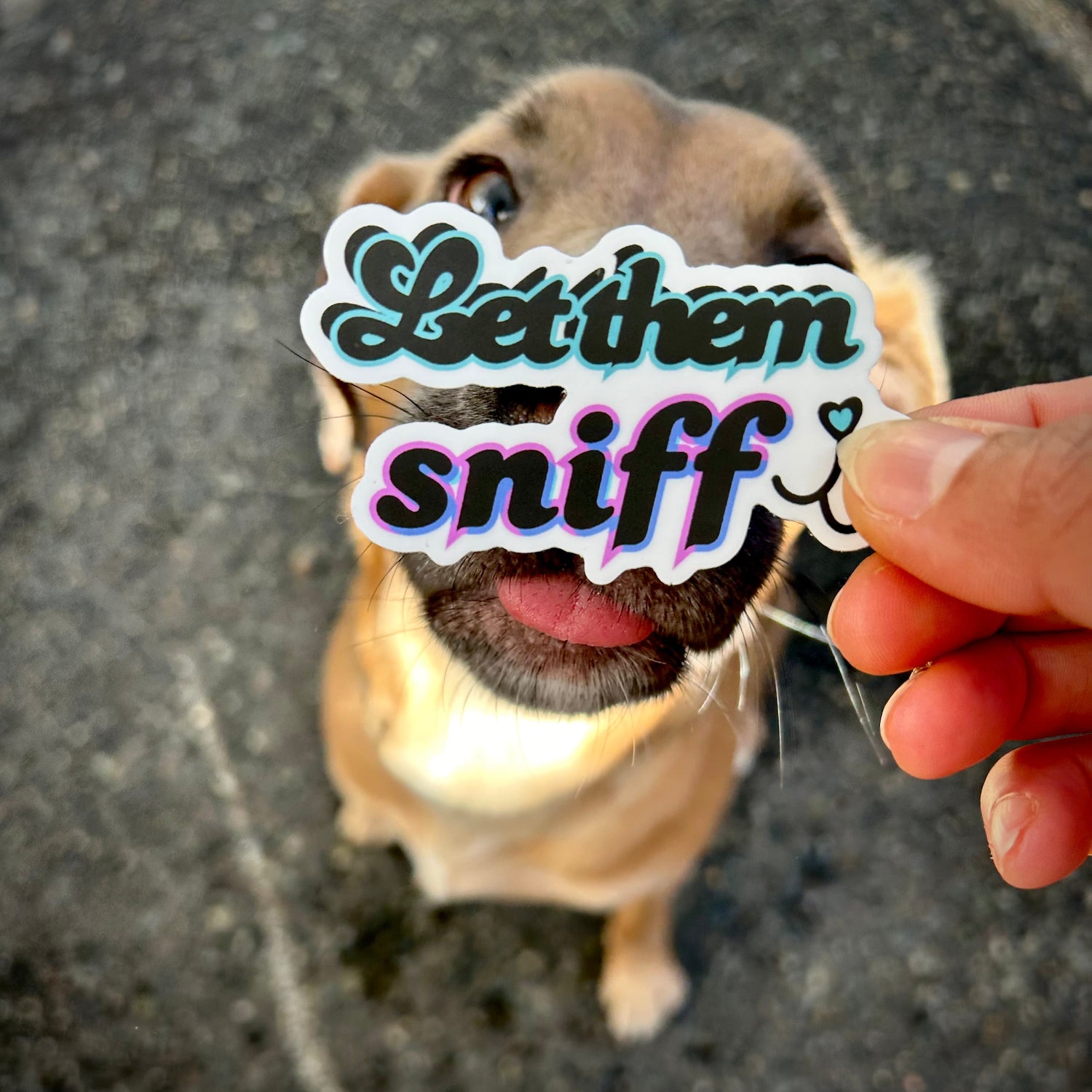 SHOP DOG MOM + DOG DAD MERCH