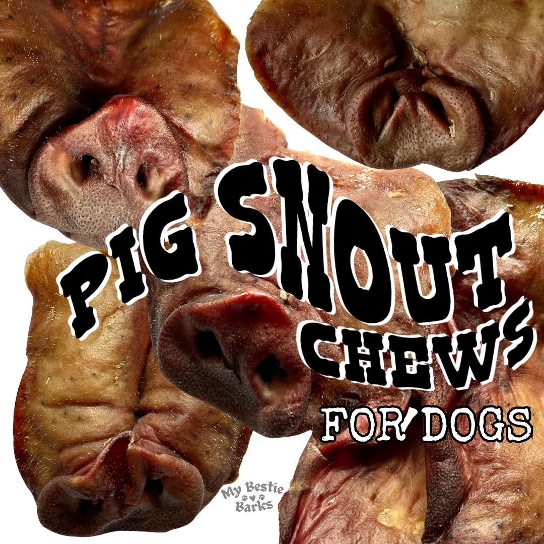 Air Dried Pig Snout Chews