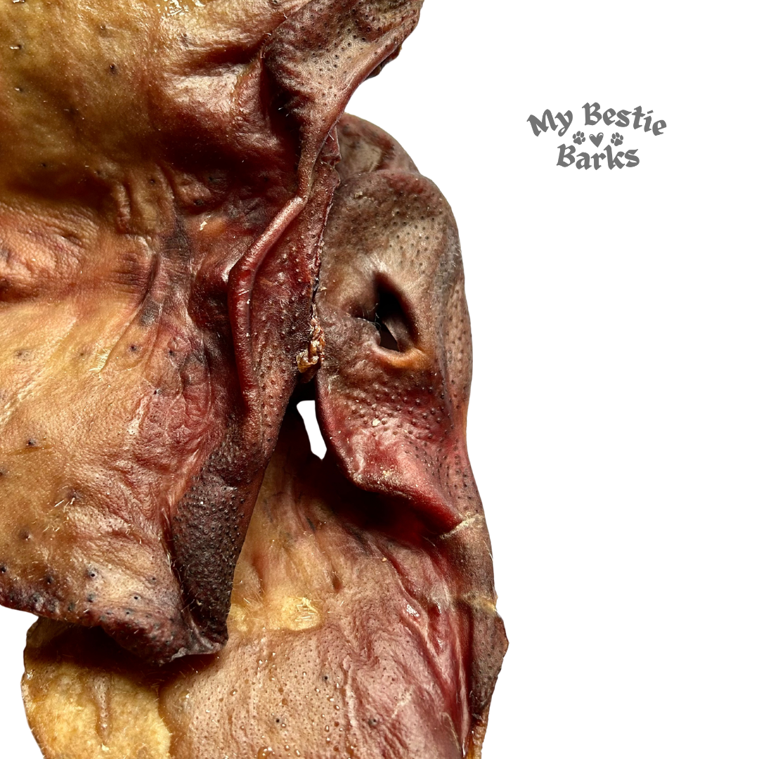 Air Dried Pig Snout Chews