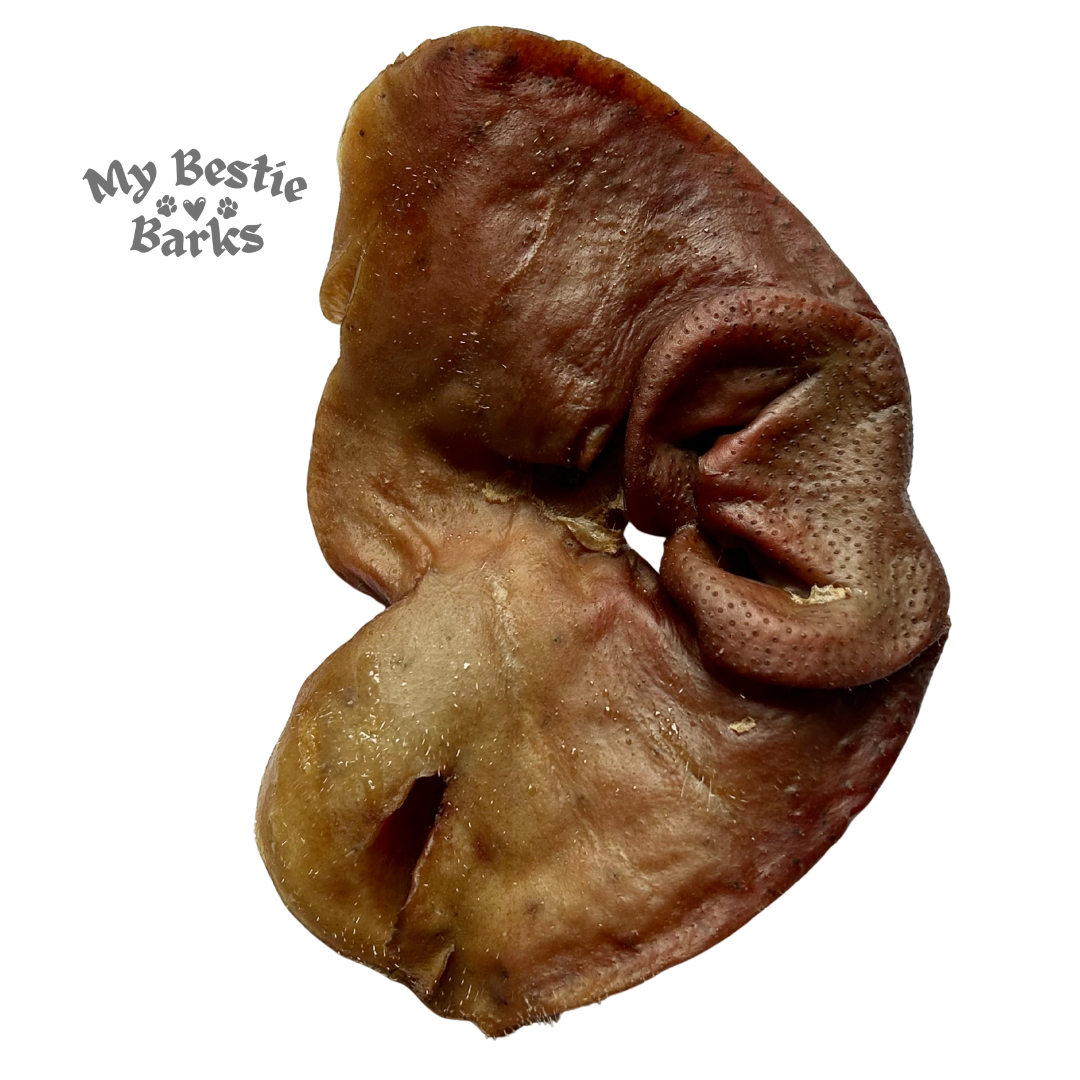 Air Dried Pig Snout Chews