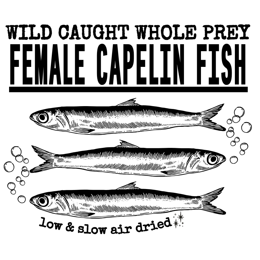 Air Dried Whole Prey Female Capelin Fish