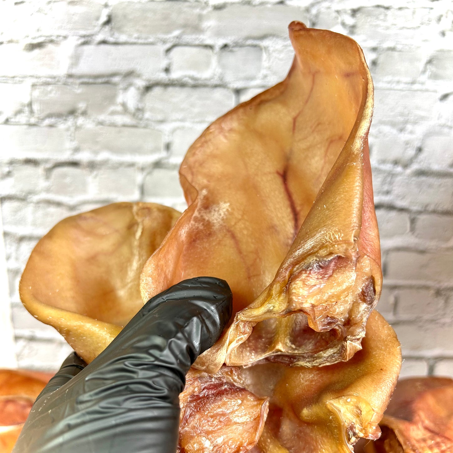 Air Dried Pasture-Raised Pig Ear Chews