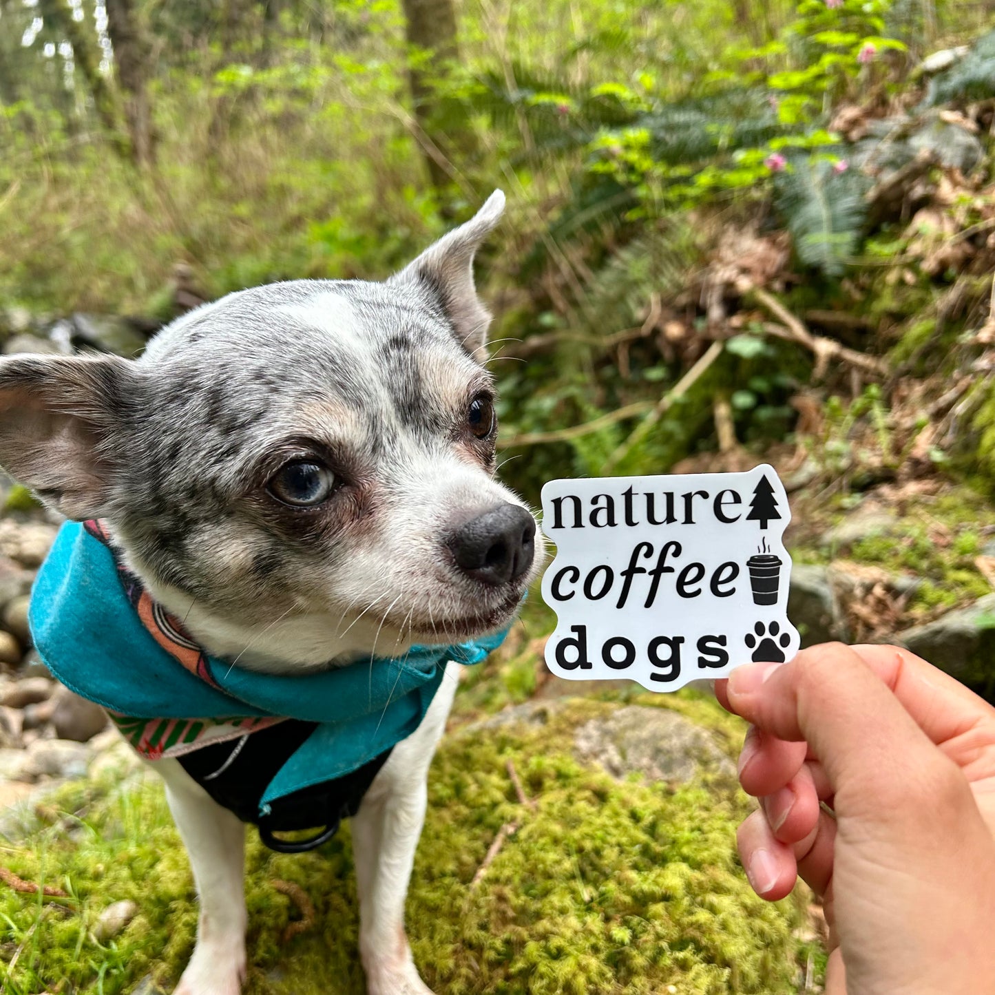 Nature Coffee Dogs Waterproof Kiss-Cut Vinyl Sticker