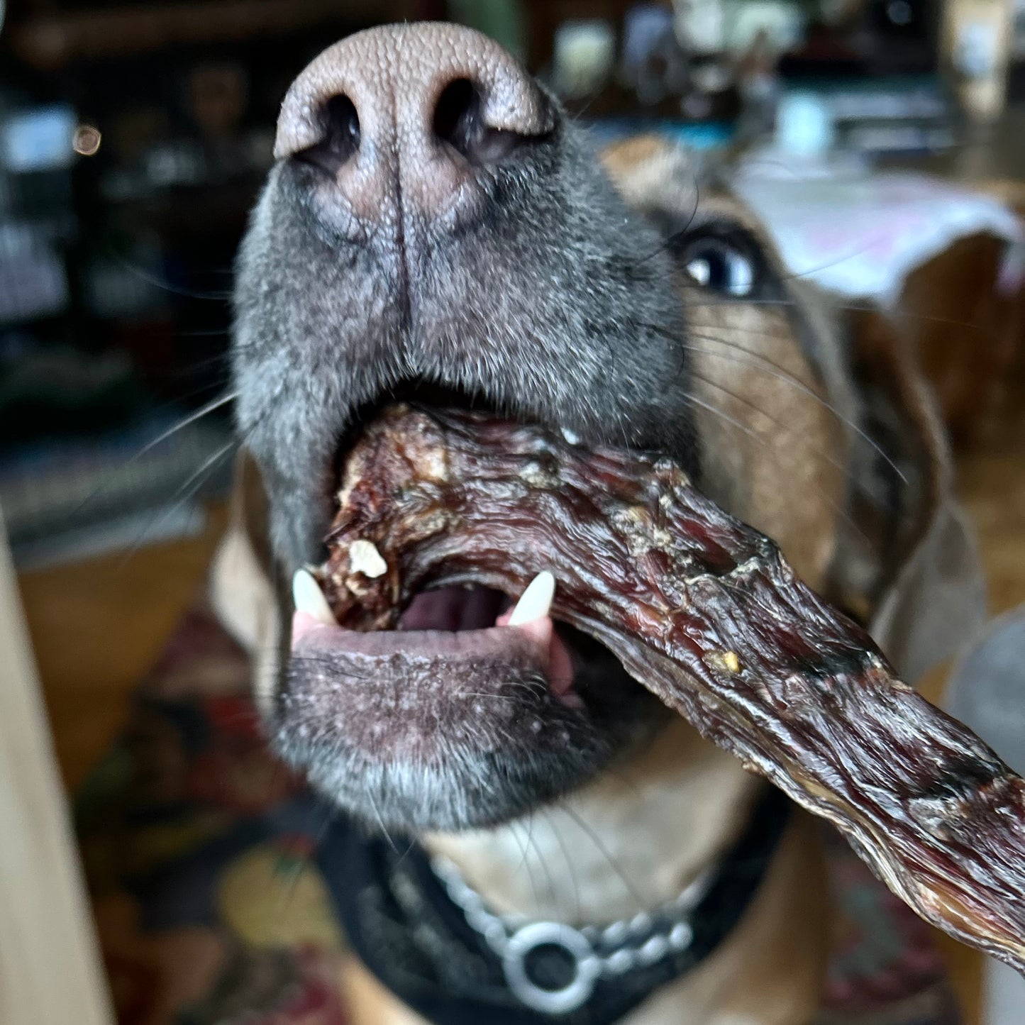 Air Dried Duck Necks
