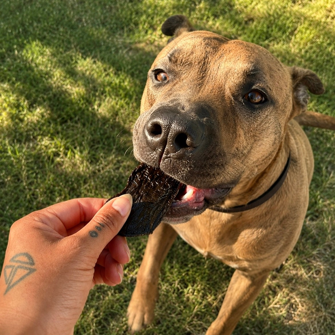 Air Dried Organic Beef Liver Krunchies
