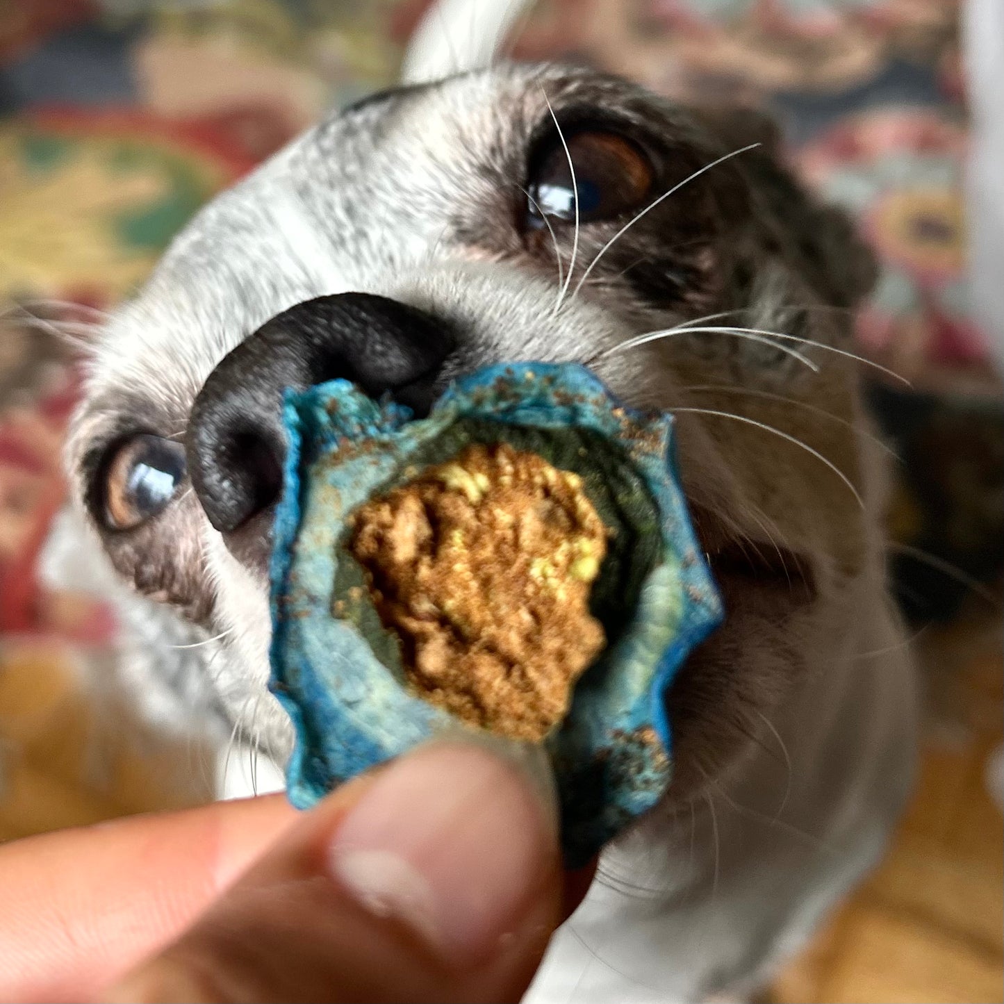 Air Dried Beef Liver Blossoms