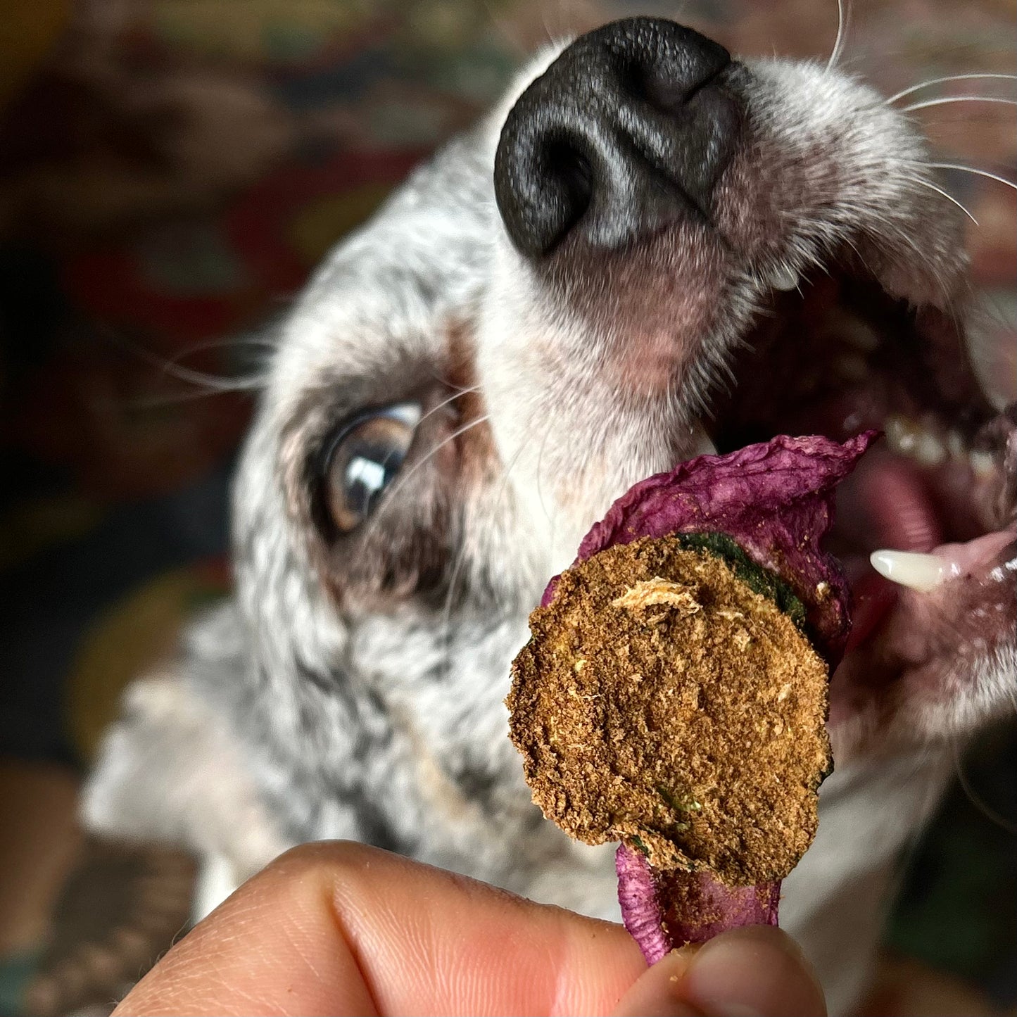 Air Dried Beef Liver Blossoms