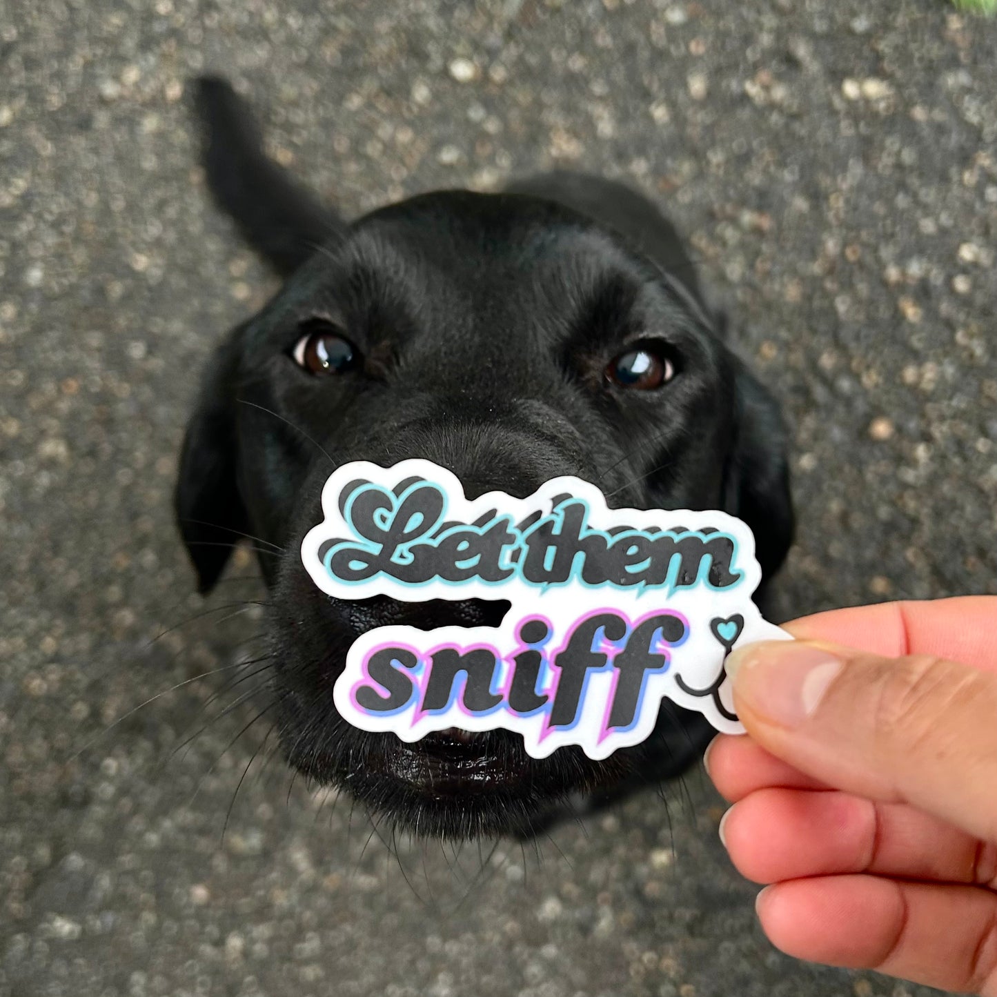 Let Them Sniff Waterproof Kiss-Cut Vinyl Sticker
