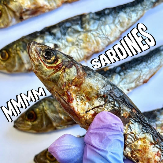 Air Dried Whole Prey Sardines