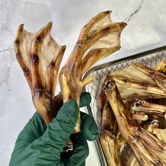 Air Dried Duck Feet