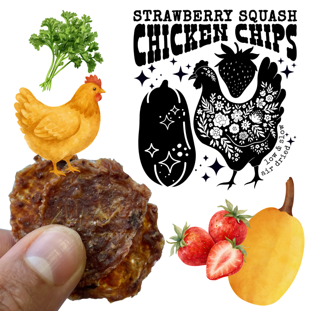 Air Dried Strawberry Squash Chicken Chips