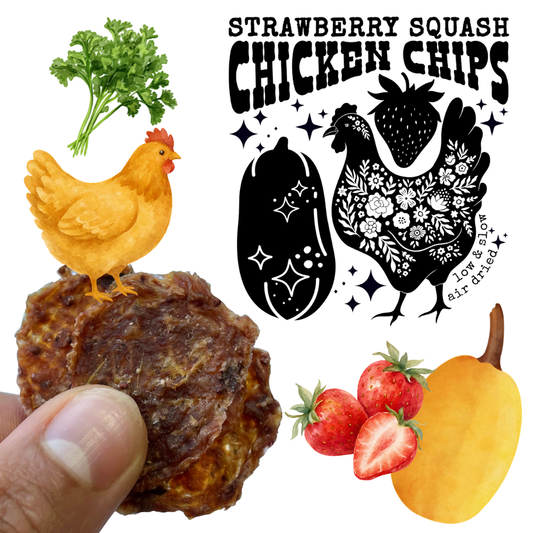 Air Dried Strawberry Squash Chicken Chips